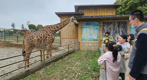 迈安德女员工2023踏青之旅