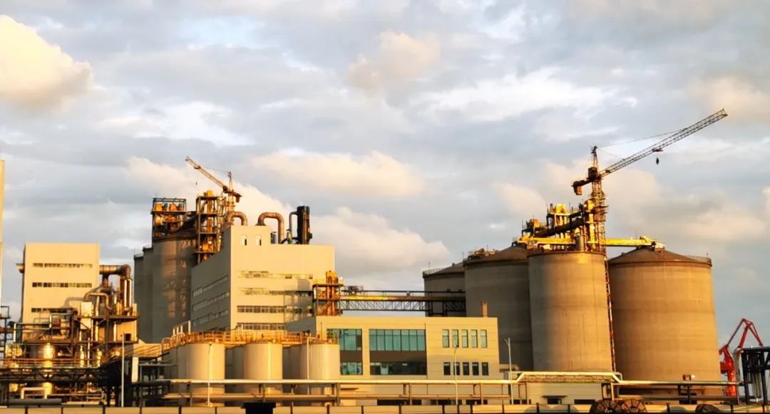 青岛渤海董家口6000T/D大豆智慧工厂顺利验收