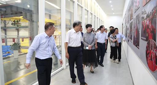 商务部市场体系建设司司长周强一行莅临迈安德调研指导 商务部市场体系建设司司长周强一行莅临迈安德调研指导