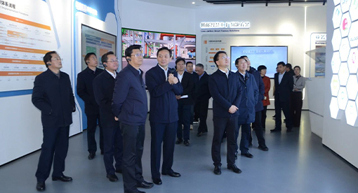 扬州市委书记王进健一行莅临迈安德视察指导