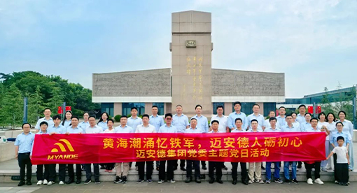 迈安德党委组织党员活动