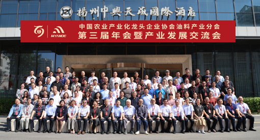 参会人现场合影